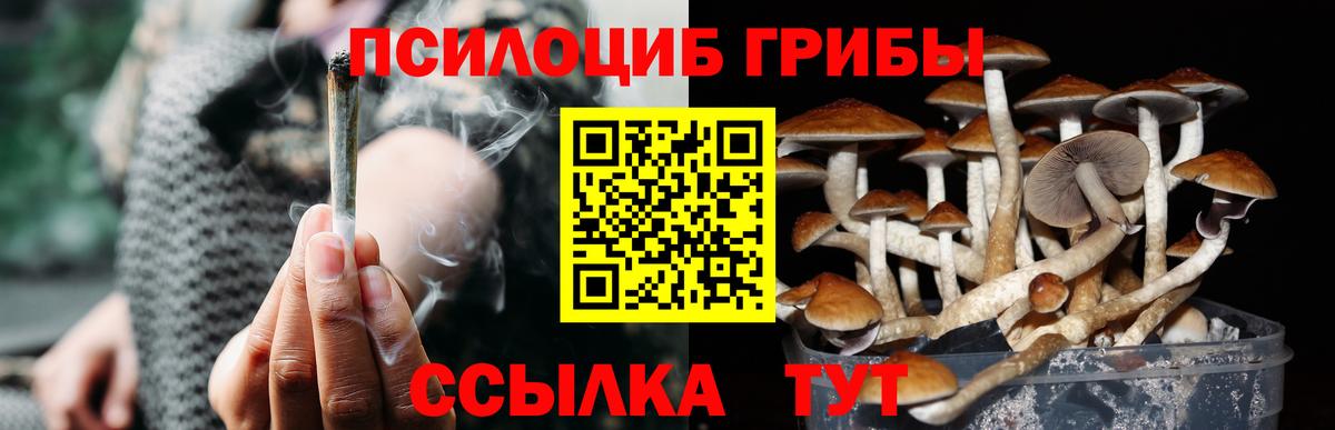 Галлюциногенные грибы ЛСД  Псилоцибиновые грибы GOLDEN TEACHER  Вход с VPN  где найти   Нарьян-Мар 